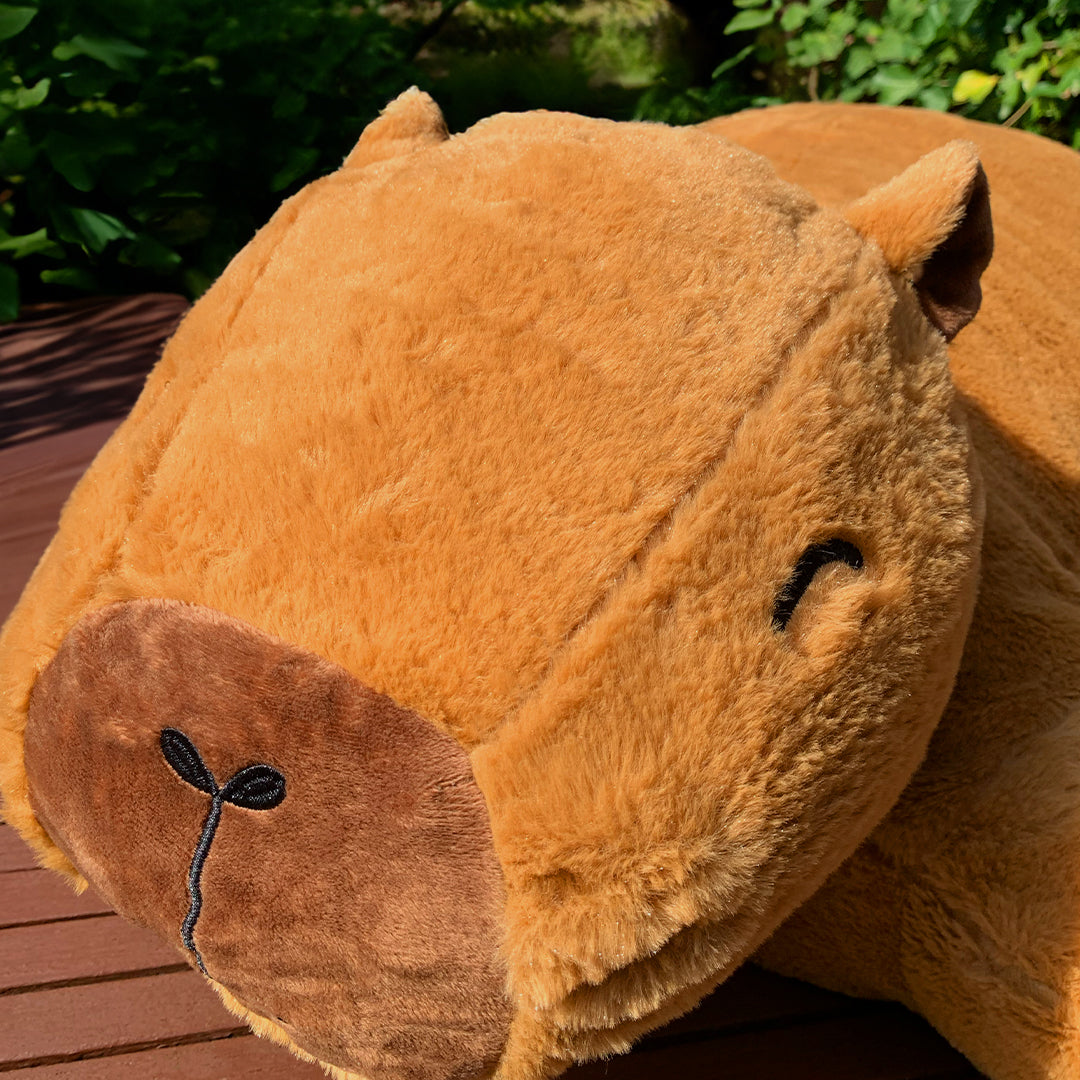 Frederik Capybara