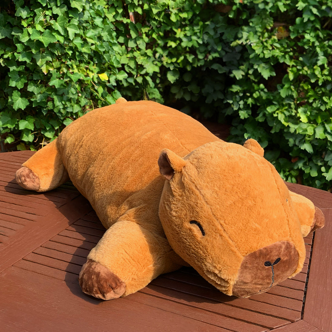 Frederik Capybara